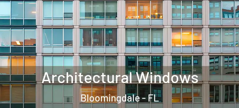  Architectural Windows Bloomingdale - FL