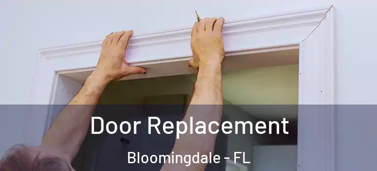 Door Replacement Bloomingdale - FL