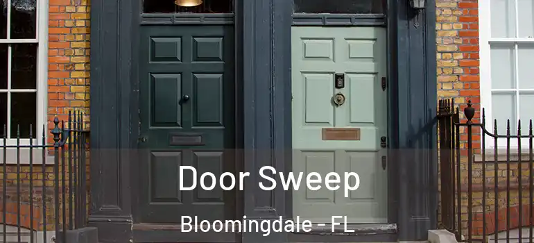  Door Sweep Bloomingdale - FL