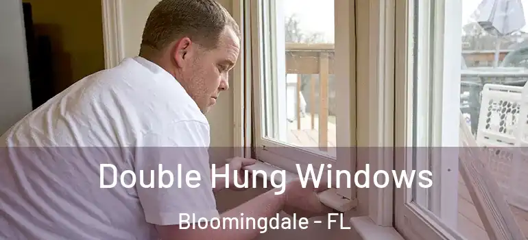  Double Hung Windows Bloomingdale - FL