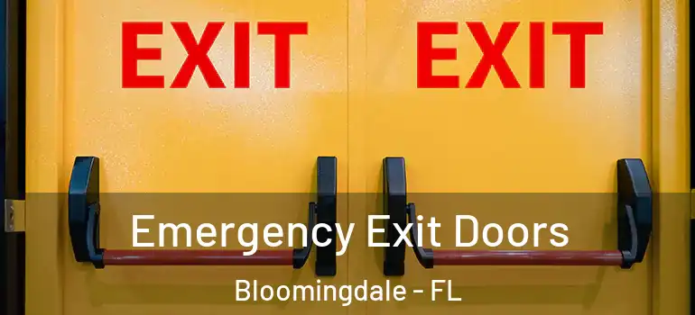  Emergency Exit Doors Bloomingdale - FL