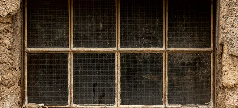 Traditional Double Front Doors in Bloomingdale, FL