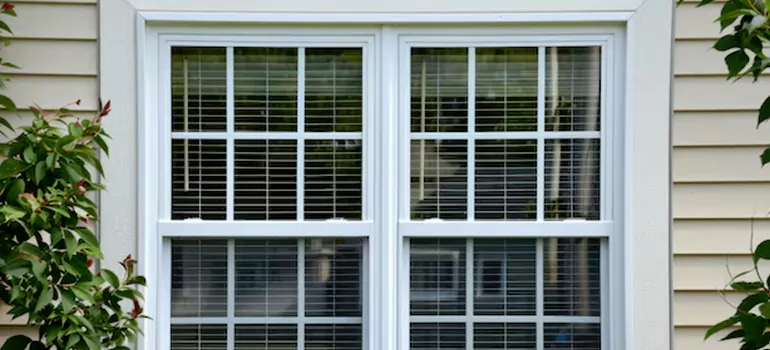 Custom Double Hung Windows in Bloomingdale, FL