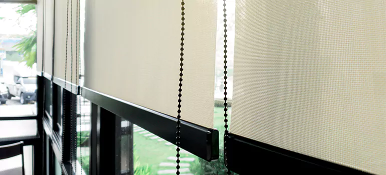 Blackout Window Shades in Bloomingdale, FL