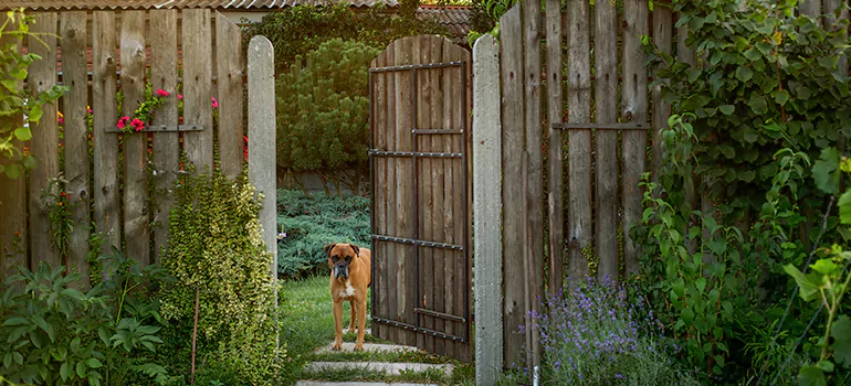 Winter Garden Garage Door Repair in Bloomingdale,[location field=state]
