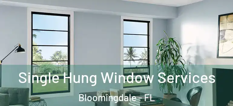 Single Hung Window Services Bloomingdale - FL