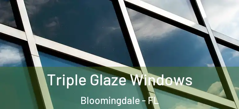  Triple Glaze Windows Bloomingdale - FL