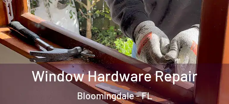  Window Hardware Repair Bloomingdale - FL