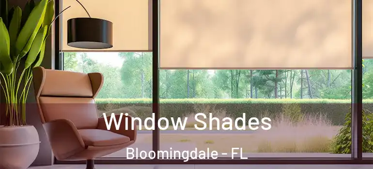  Window Shades Bloomingdale - FL