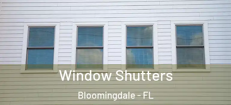  Window Shutters Bloomingdale - FL