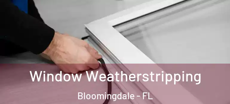  Window Weatherstripping Bloomingdale - FL